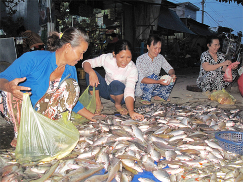 cá nhiễm kháng sinh