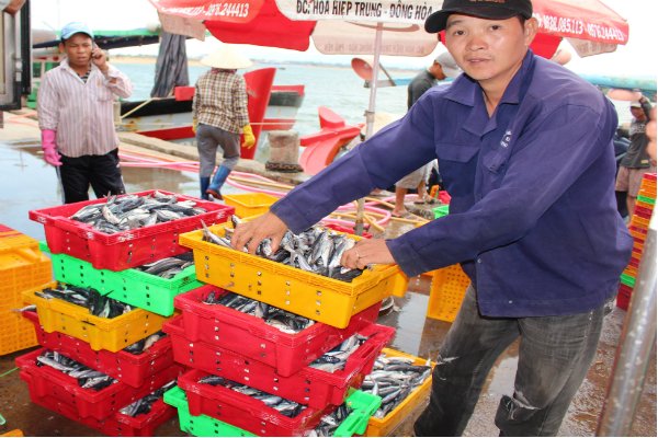 cá nục