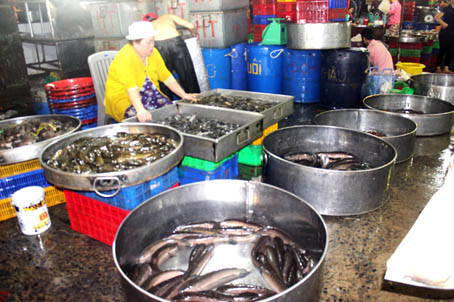 Đồng Nai: Cá nước ngọt nhích giá