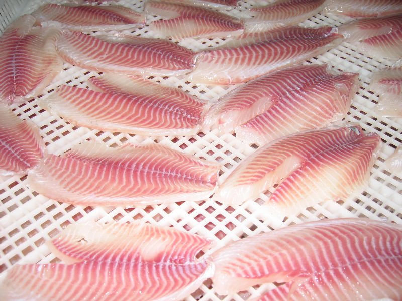 cá rô phi phi lê