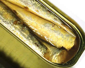 cá sardine