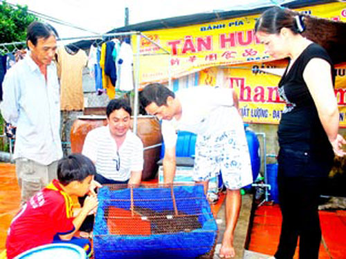 cá sấu biết sủa