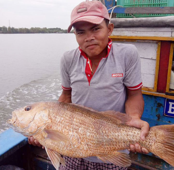 Ngư dân bắt được cá 7 kg, nghi là sủ vàng quý hiếm