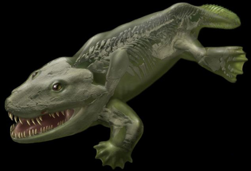 Hình ảnh 3D giải mã bí ẩn loài ca thú đầu tiên sống trên cạn.