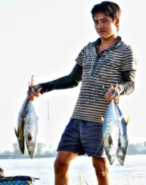 Cá thu tươi rói được đánh bắt ngay tại khu vực TP Cần Thơ.