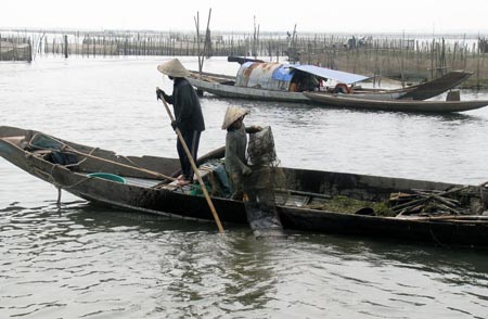 ca tôm phá tam giang