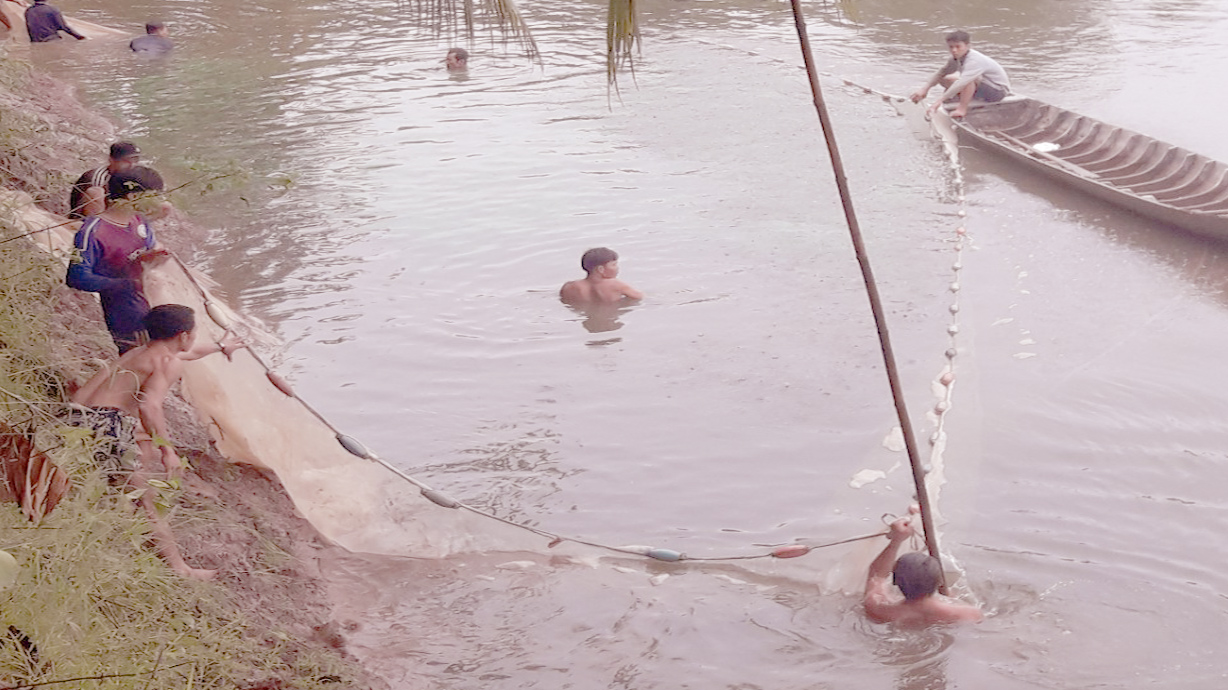 Đổ xô nuôi cá tra, rủi ro khó lường