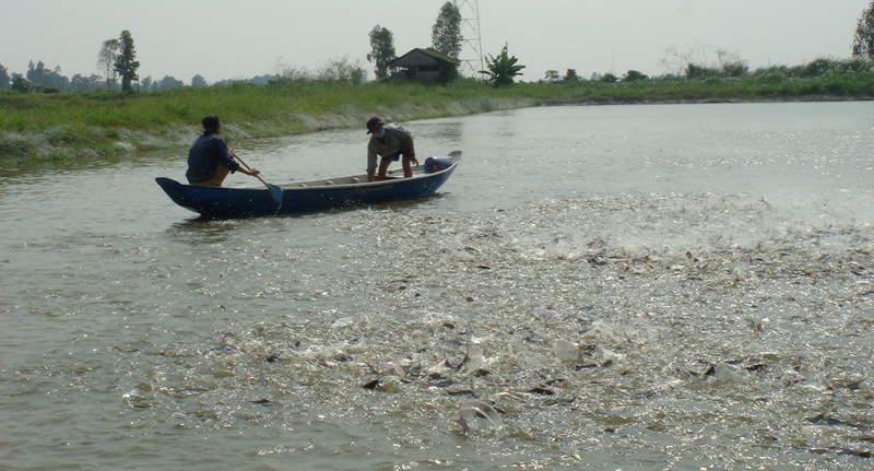 cá tra kho khăn