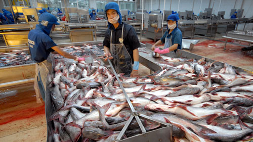 gia ca tra nguyen lieu