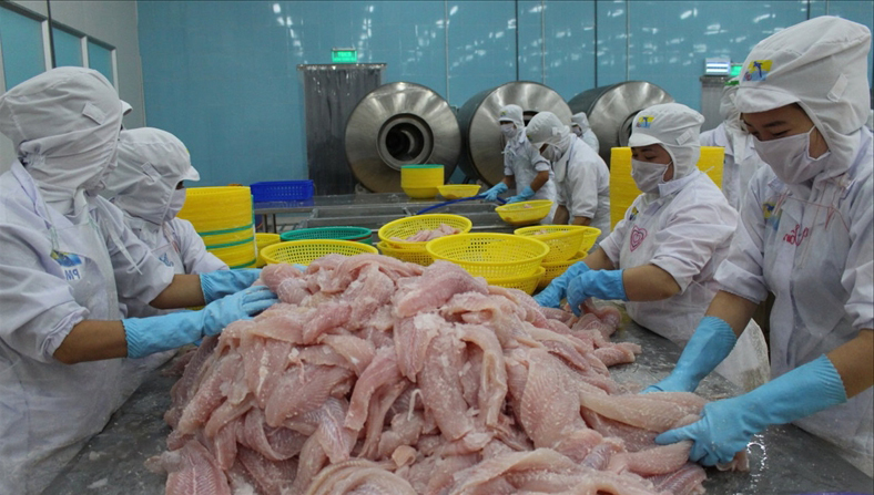 Việt Nam đã chủ động về giá xuất khẩu cá tra