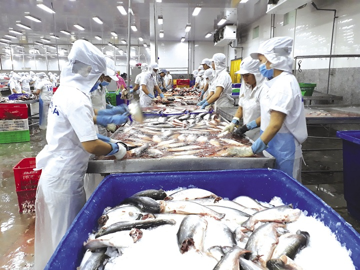 Vì sao vẫn nhập khẩu các mặt hàng mà trong nước đang “ế dài”?