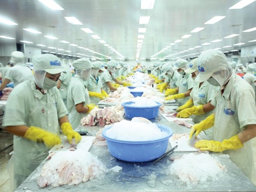 xuất khẩu cá tra