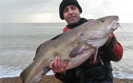 Dan Richard và con cá tuyết "khủng"