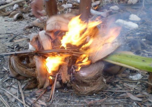 Cá xanh xương nướng