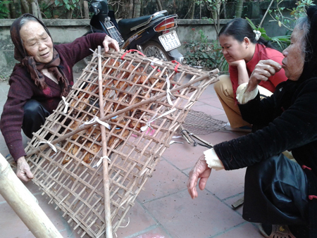 cá xiếp