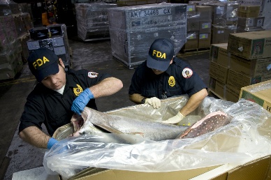 kinh phí cho dự thảo mới của FDA