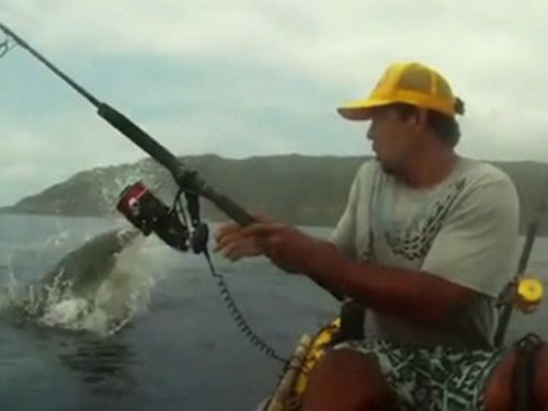 Ông Brumaghim bị cá mập cướp cá. Ảnh cắt từ clip