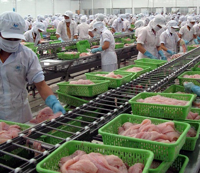 chế biến cá tra