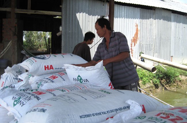 nuôi cá tra bằng thức ăn tự chế