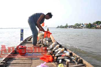 An Giang: Đánh bắt cá bông lau trên sông Vàm Nao