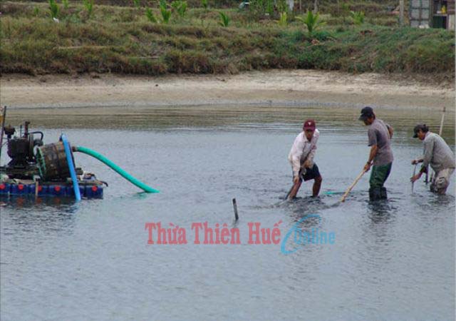 cải tạo ao hồ