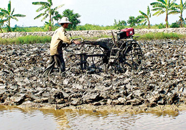 cai ta ao nuoi tom quang canh