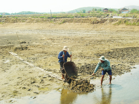 cải tạo ao nuôi tôm