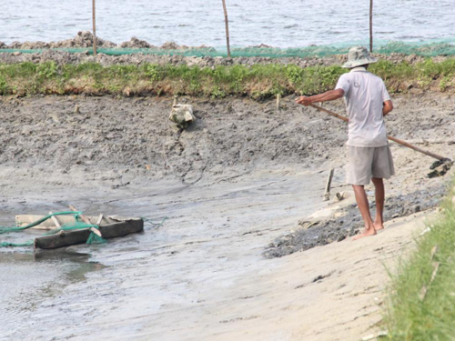 Người nuôi tôm tại Quảng Nam cải tạo lại hồ nuôi trước khi thả giống