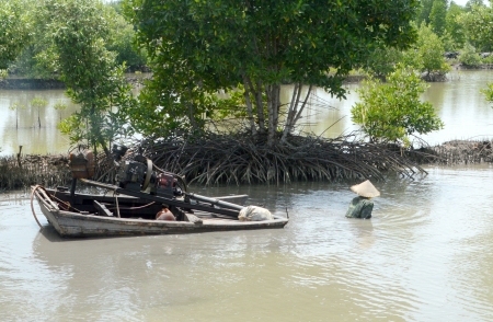 cải tạo đáy ao