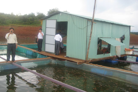 Bè cá của Công ty Linh Trường Phát