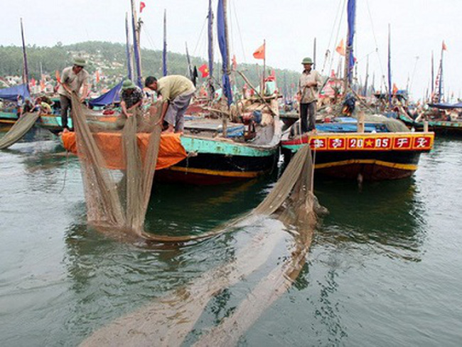 Cấm khai thác một số loài hải đặc sản trên vùng biển Bình Thuận