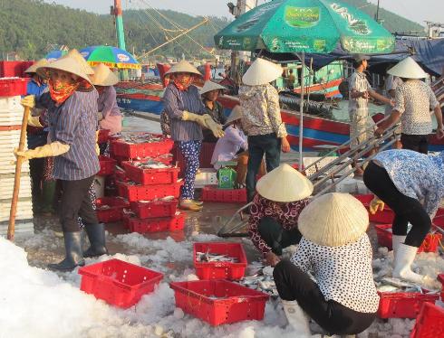 Cảng Lạch Quèn