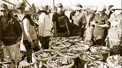 cảng cá Đông Hải