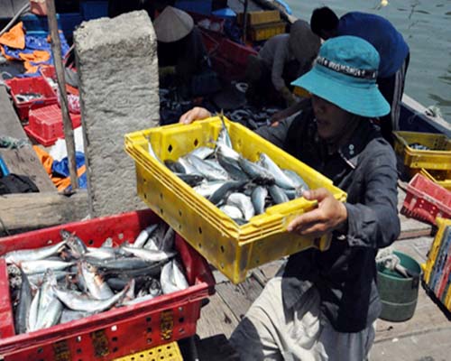 Cảng cá Thanh Hà