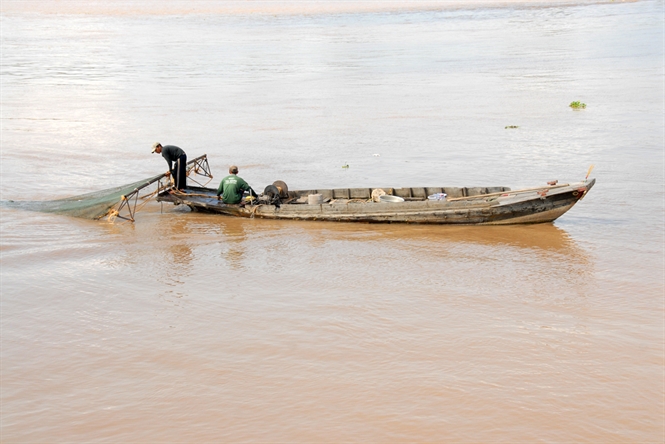 cào điện