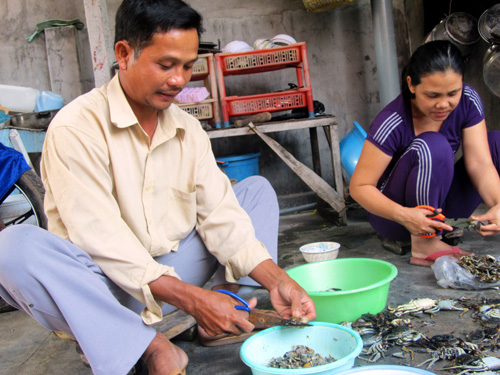 cắt mồi cho tôm