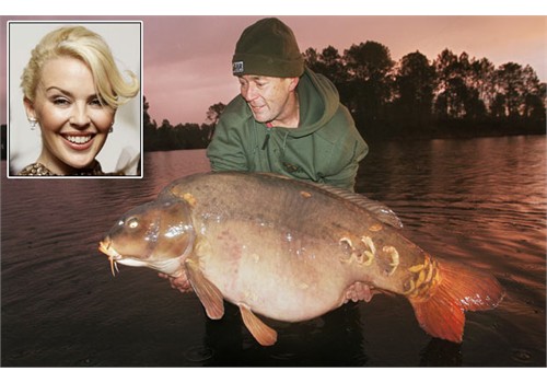 Những con cá khổng lồ nhất thế giới