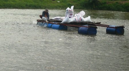 ca tra ben vung