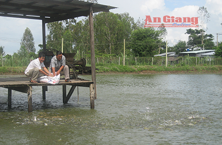 ca tra thieu nguyen lieu