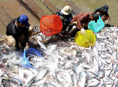 Ảnh minh họa (Nguồn: internet)