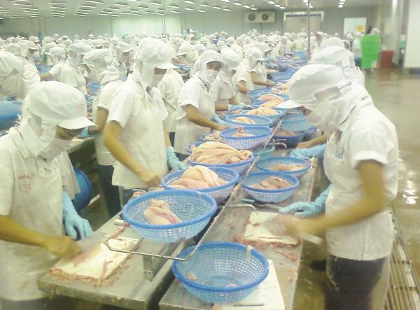 xuất khẩu cá tra