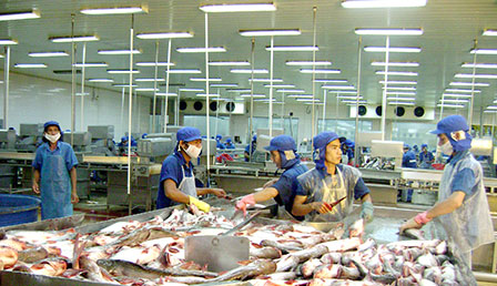 thao go kho khan ca tra