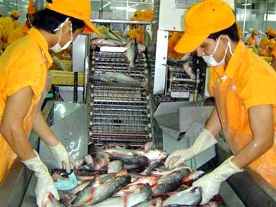 ca tra viet nam