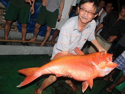 câu cá trường sa