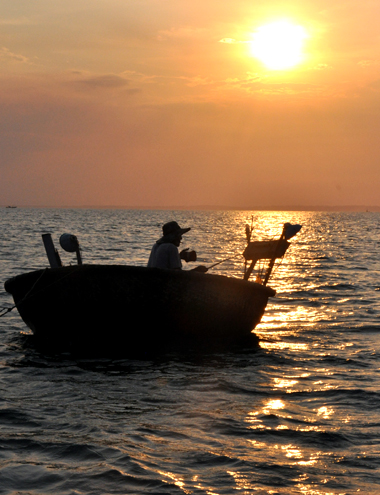 câu mực, câu mực đêm