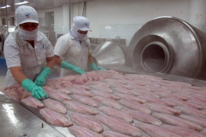 chế biến cá tra