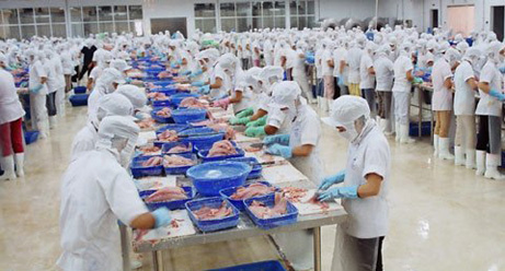 chế biến cá tra