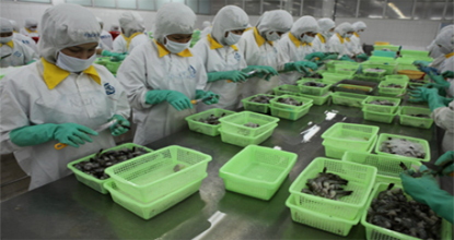 Chế biến tôm FIMEX