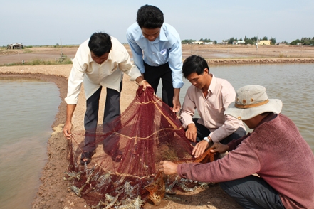 chài kiểm tra tôm