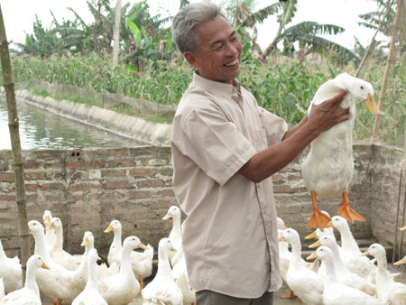 chăn nuôi